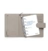 Immagine di 27-021783 - 27-NORFOLK POCKET TORTORA