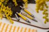 Immagine di J045533 - RITMA GIFT SET 3+2 MIMOSA