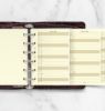 Immagine di 28-68208 - PLANNER 2028 POCKET ANN VERT CREM